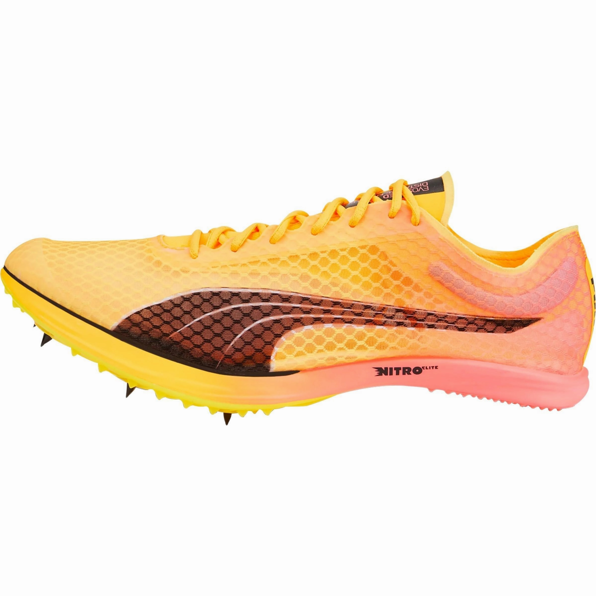 Steady Push Lateral Balance Puma evoSpeed Distance Nitro Elite   2 Running Spikes - Orange