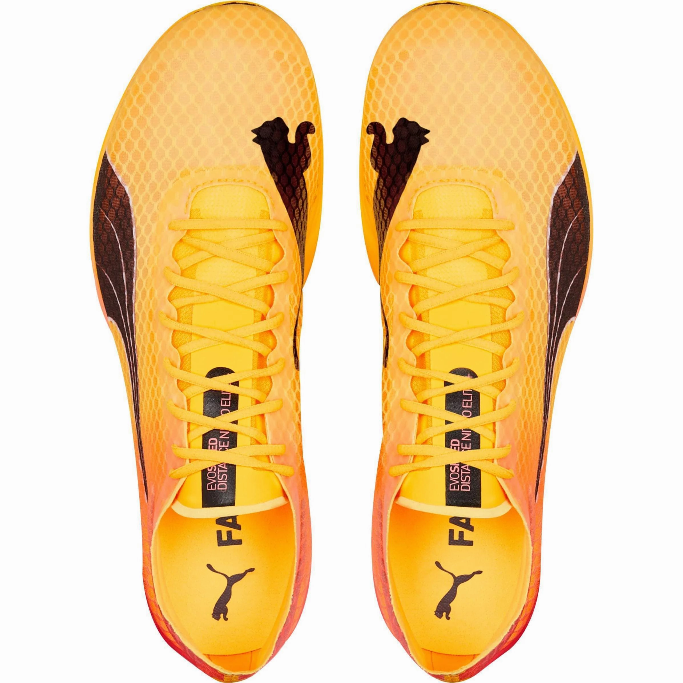 Lateral Lock Puma evoSpeed Distance Nitro Elite   2 Running Spikes - Orange