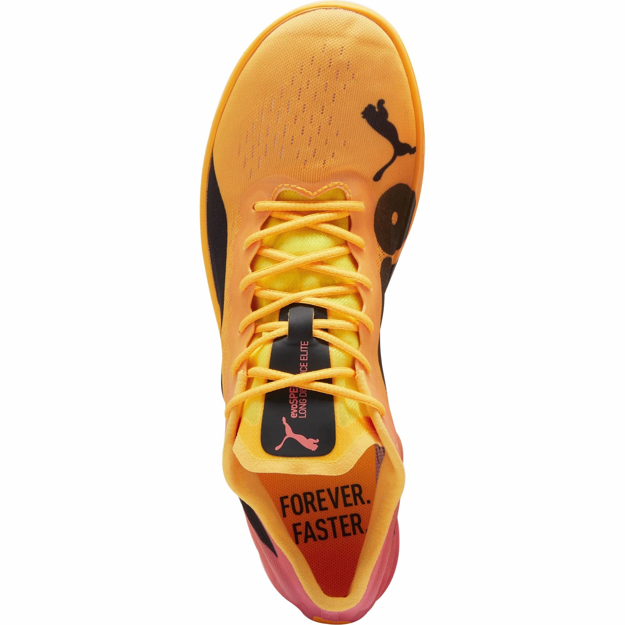 Power Focus Shockproof Puma evoSpeed Long Distance Nitro Elite 2 Running Spikes - Orange