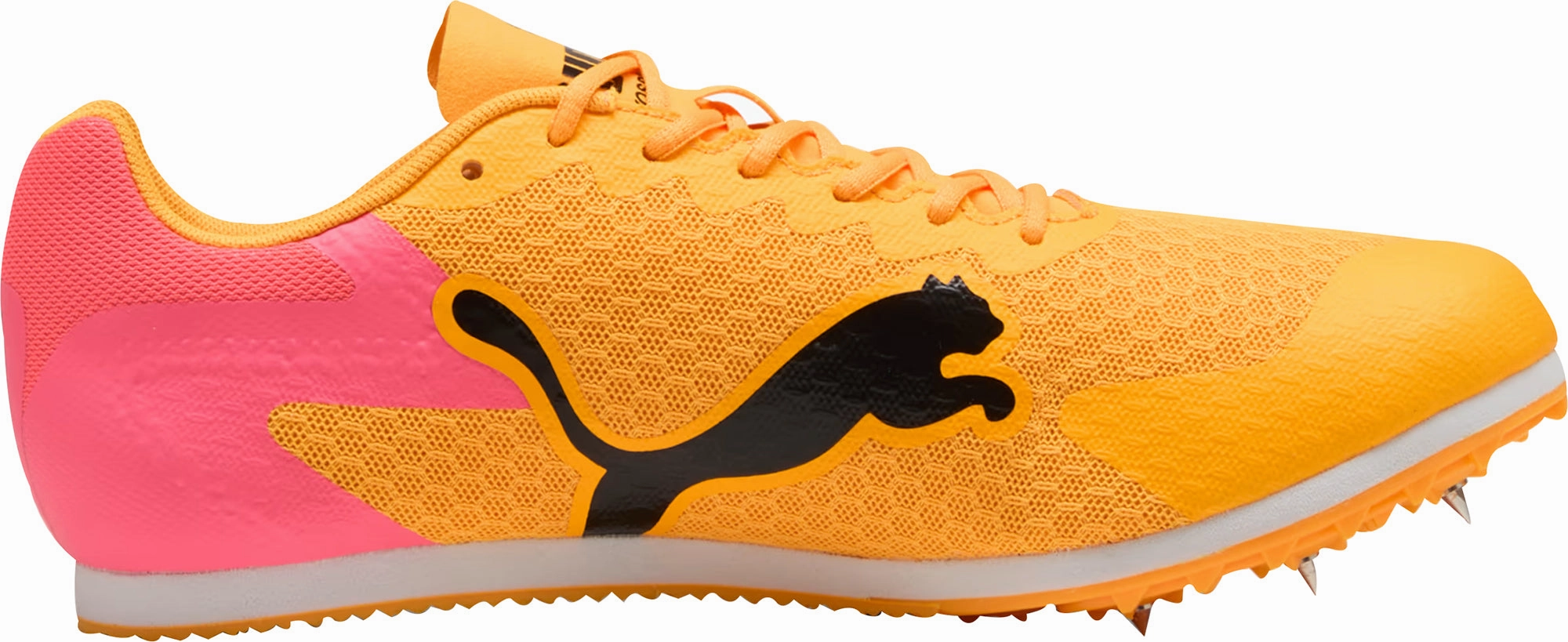 Training Field Puma evoSpeed Star 9 Running Spikes - Orange