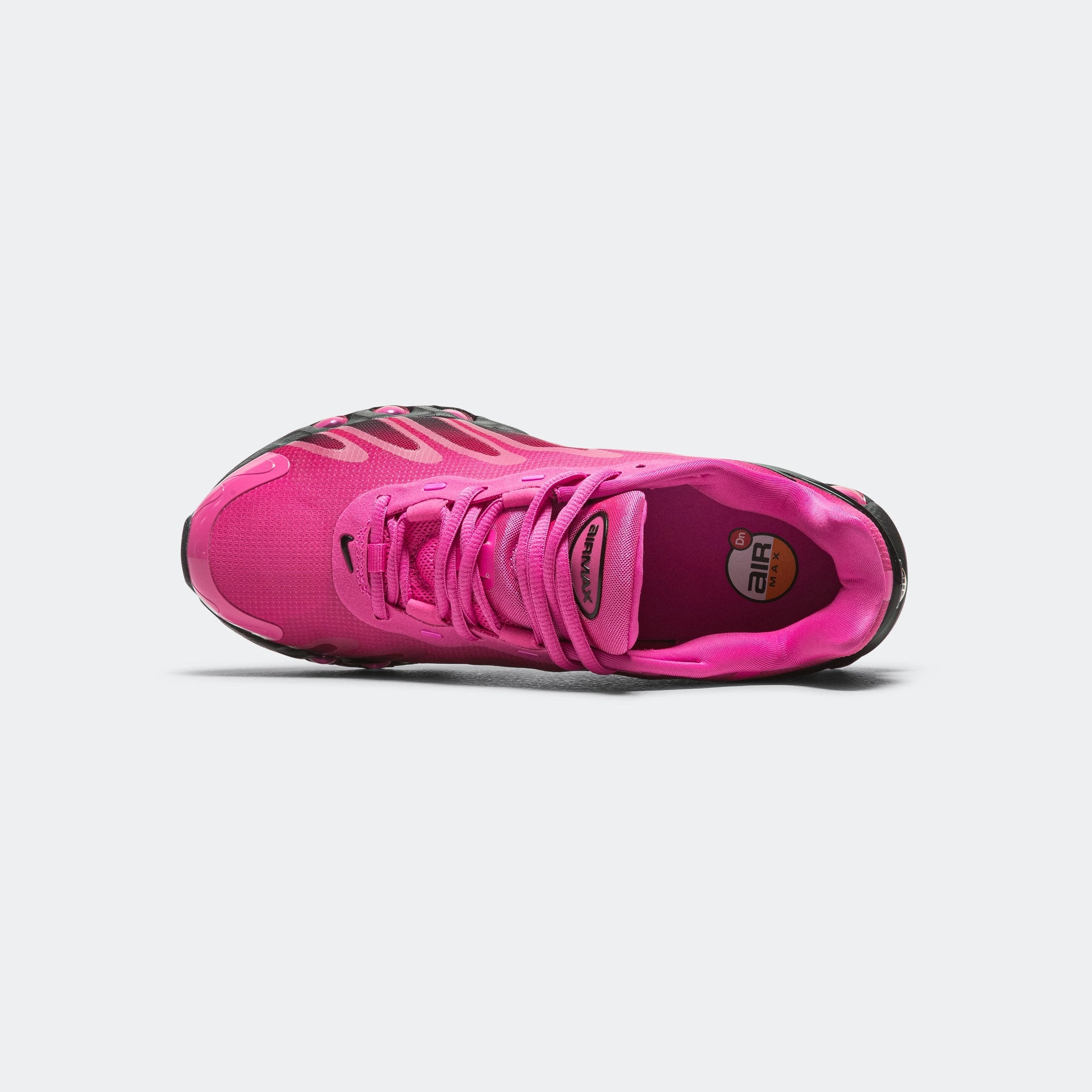 All Day Womens Air Max DN8 - Laser Fuchsia/Black-Sport Fuchsia